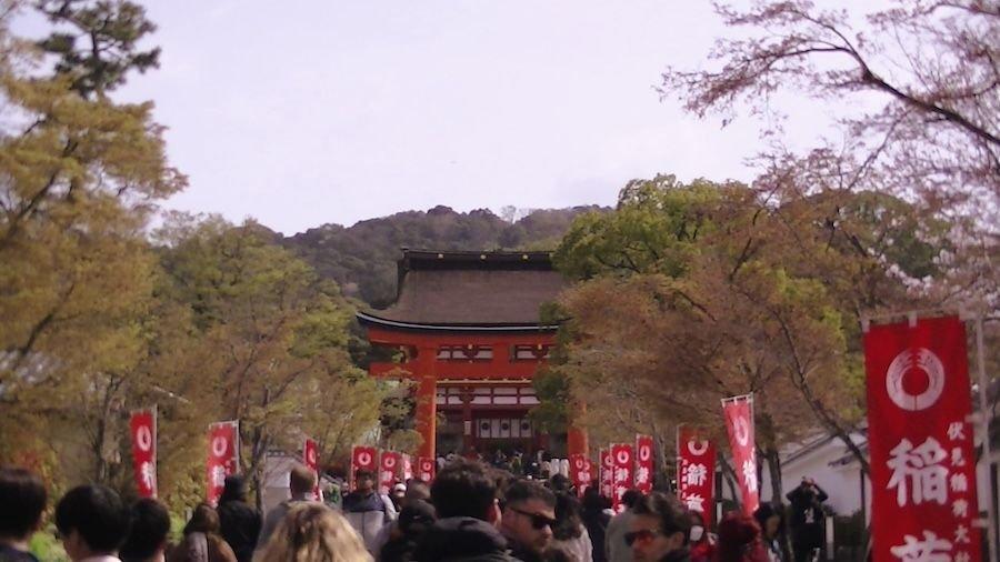 recomment-pack-image-1